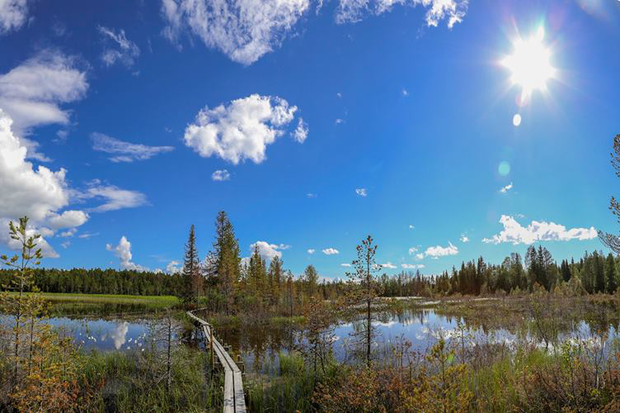 Sjö med träspång över, skog i bakgrund och förgrund, blå himmel.