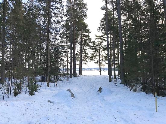 Bynästet vinter stig