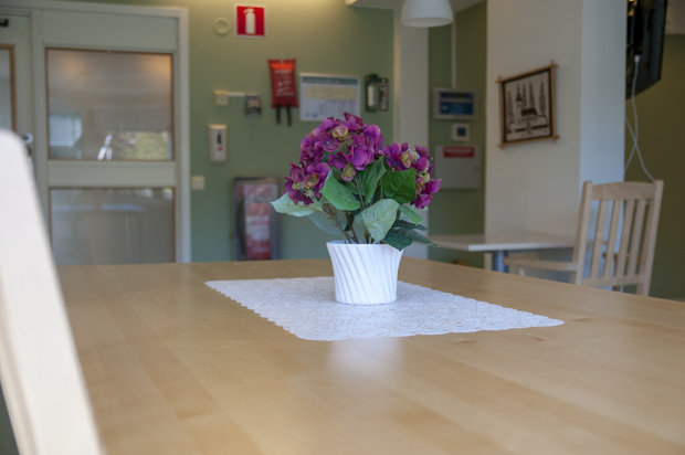 Köksbord med blomkruka