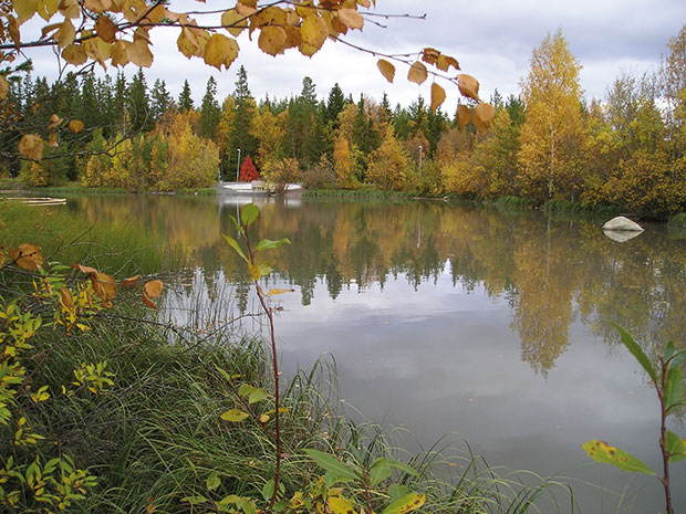 Miljödammen i Odenskog