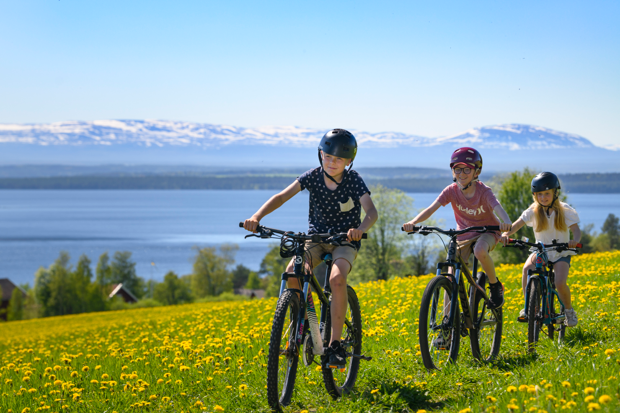 Barn cyklar på stig i maskrosäng med fjällen och Storsjön i bakgrunden.