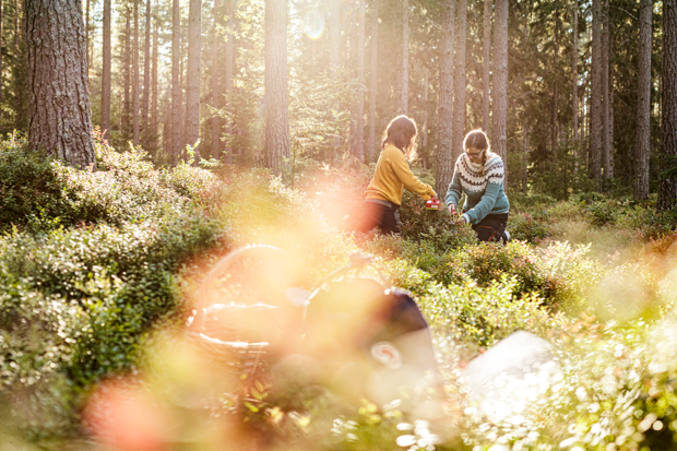 bärplockning och fika ute i skogen