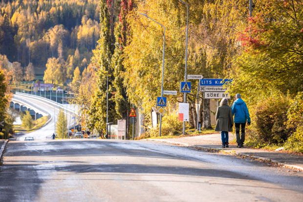 bild på personer som vandrar i ett höstigt lit