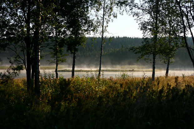 Naturbild från Lillsjön i vackert dimtäcke