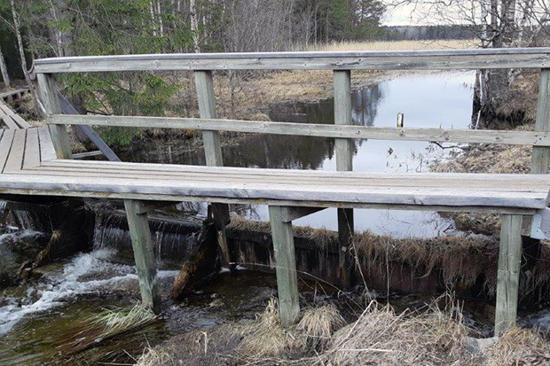 Ett utlopp från en sjö med en fördämning och en träbro med räcke