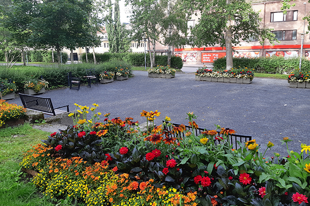 Härlig blomsterpark i en öppen park med bänkar