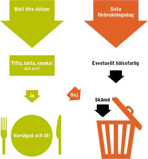 Infografik om bäst före-datum och sista förbrukningsdag