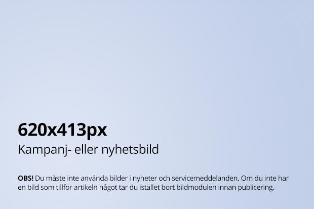 Exempelbild för Kampanj- eller nyhetsbild. Storlek 620x413px
