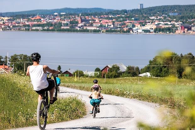 Några hus bland skog och ängar. Vatten i förgrund