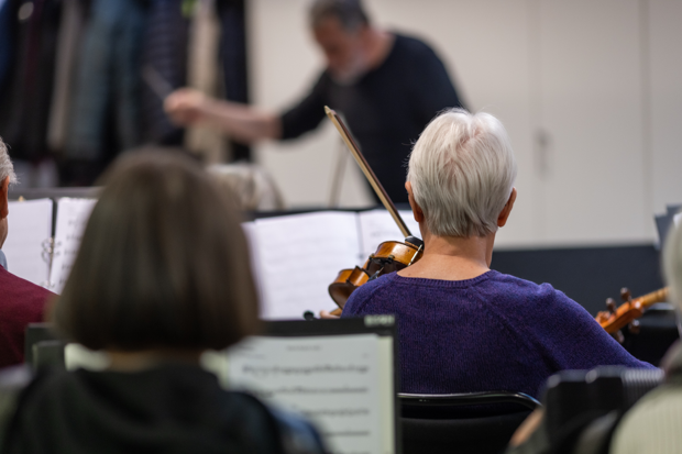 Foto taget bakifrån på personer som spelar i en orkester. Närmast kameran sitter en person i mörkgrått axellångt hår med ett notställ framför sig. Framför sitter en person i kort, ljusgrått hår som spelar fiol. Längst fram syns en dirigent i mörka kläder.