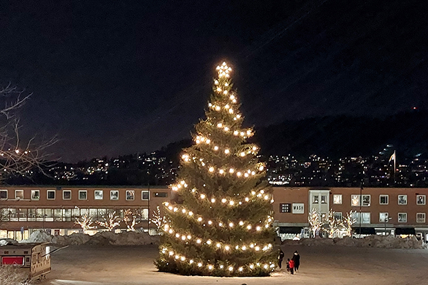 En stämningsfull bild på en enorm gran på Stortorget med ljusgirlanger under en mörk kvällshimmel.
