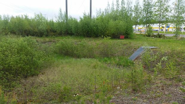 En sänka i krafledningsgatan där det ibland står vatten. Det är gott om buskar och gräs och i bakgrunden anas en industrilokal.