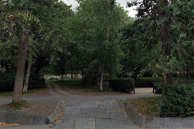 Kyrkparken: mycket träd ocb buskar