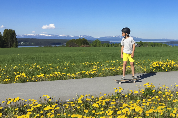 Pojke som åker skateboard med maskrosor och fjäll som bakgrund