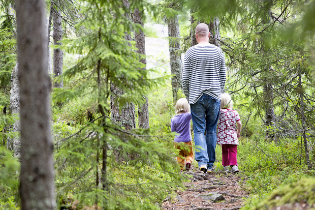 Pappa med barn som går i skogen