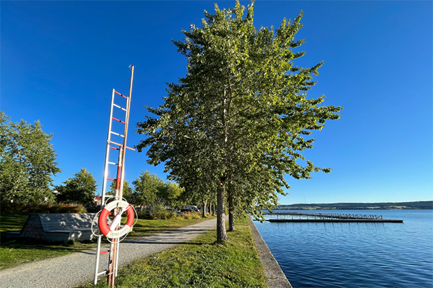 En strandpromenad vid vackert väder. Vid gångvägen finns en strege och en livboj uppsatt.