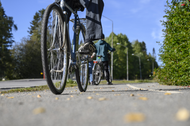 Foto: En cyklist på en cykelbana med gula löv i förgrunden