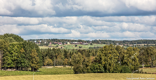 Vybild över fält och himmel