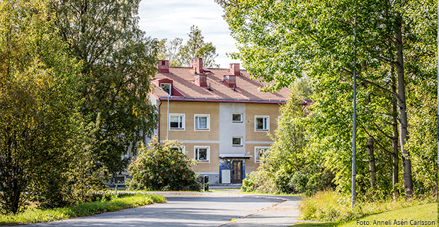 En gata i förgrunden som löper fram till ett hyreshus