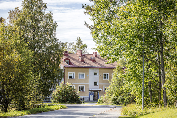 Hus i grönska.