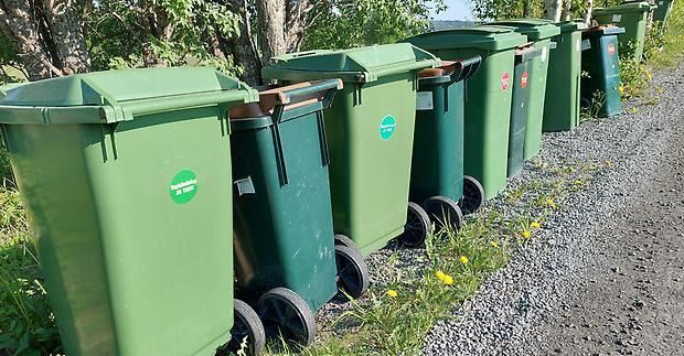 Ljust gröna och mörkt gröna soptunnor står på rad längs en väg