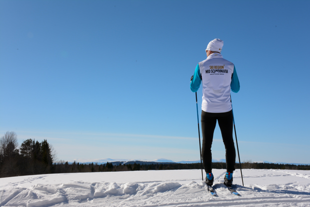Ryggtavla på en skidåkare texten Ski Region Mid Scandinavia - i snö och solsken