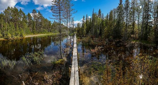 Tysjöarna friluftsområde