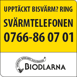 En banner med texten Upptäckt bisvärm? Ring Svärmtelefonen 0766-86 07 01, Biodlarna