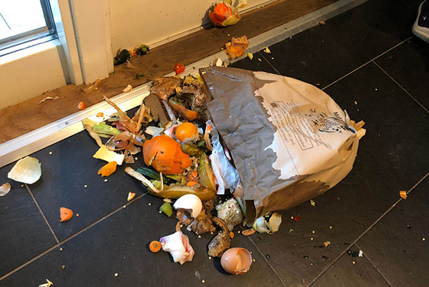 Matavfall som fallit ur en trasig papperspåse på golvet.