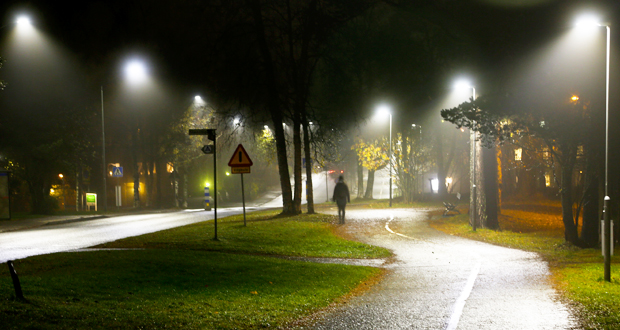 Modern gatubelysning lyser upp gång- och cykelväg och bilväg i dimman