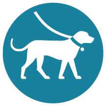 Rund turkos skylt med piktogram för hund.