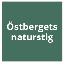 Mörkgrön skylt med texten "Östbergets naturstig".