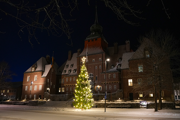 Julgran lyser upp vackert med Rådhuset i nationalromantisk tegelstil i bakgrunden