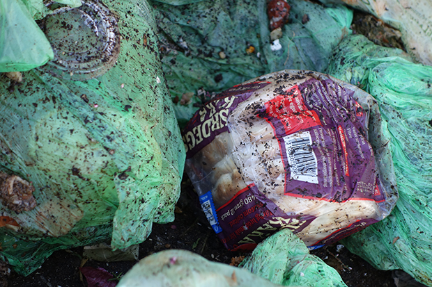 Bröd i plastpåse bland matavfallspåsar