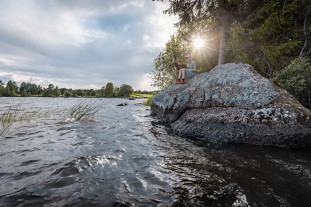 Sjövatten i rörelse, 
med sjögräs och en stor sten i stranden. På stenen sitter en människa 
och solljuset strålar genom träden på sjökanten.