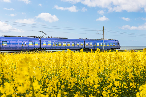 Foto: Ett tåg tuffar fram i ett öppet landskap med blommande rapsfält i förgrunden