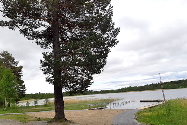 Foto: En folktom badplats med badbrygga och rullstolsramp