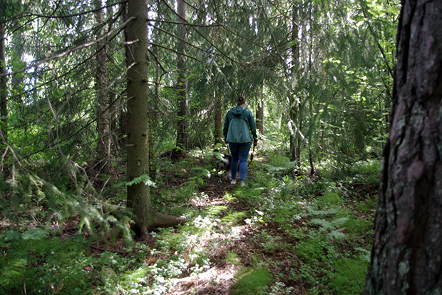 En kvinna som går med sin hund på en stig genom skogen