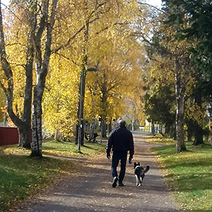 En man och hans hund på promenad i allén i höstfärger.