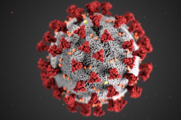 Närbild på Coronavirus