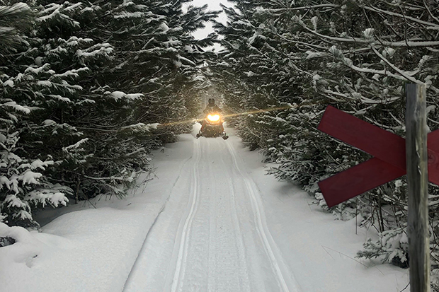 En snöskoter på en skoterled mellan snöpudrade granar