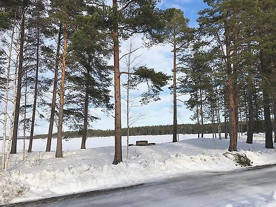 Bynäset på vintern