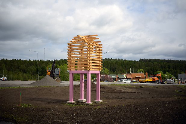 Ett härbre på höga rosa ben