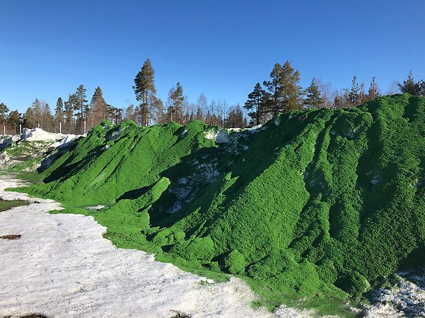 Illustration över nya hus på fastigheten Artilleristen.