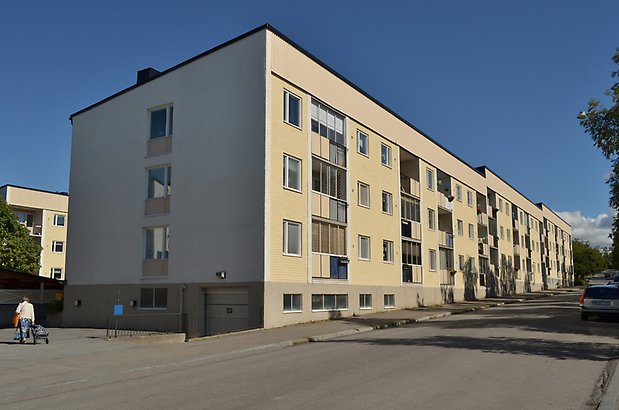 Gullvivan 10 b