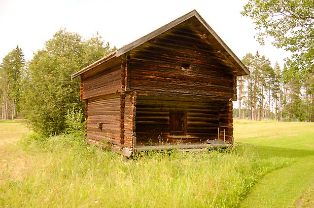 Häbre i brunt trä.