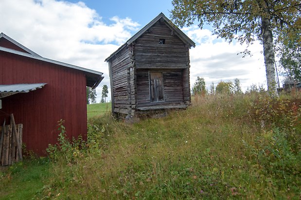 Ringsta 1:13. Timrat, grått härbre.