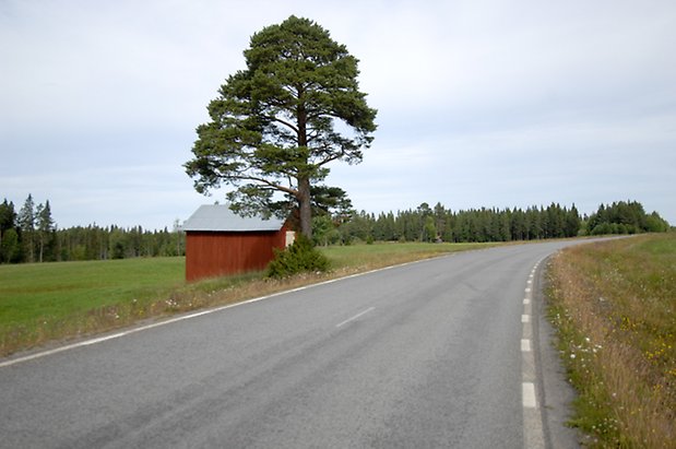 Hara 3:2. Byggnad i röd panel bakom stor tall.