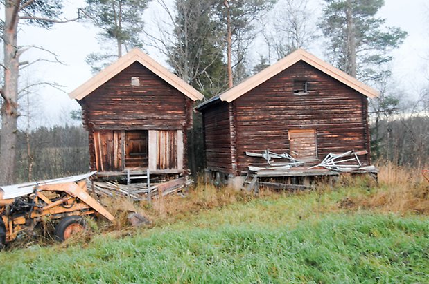 Bledäng 1:8. Timrat, brunt härbre med brun, timrad byggnad bredvid.