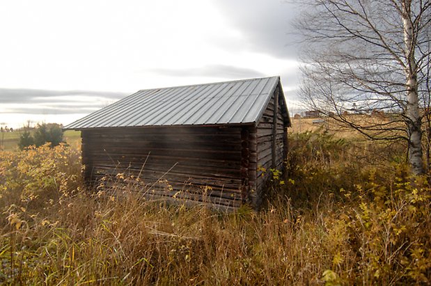 Oldberg 1:5. Grå, timrad byggnad.